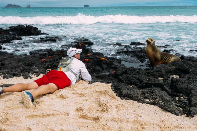 New Scientist Default Image