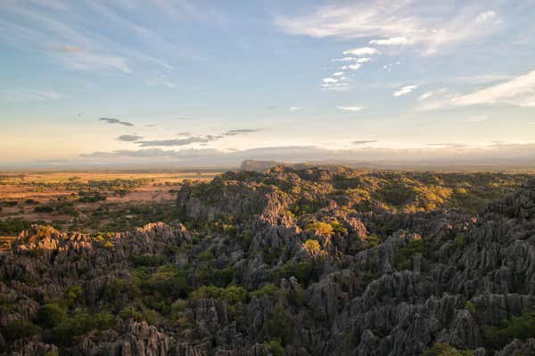 New Scientist Default Image