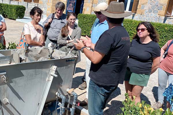 New Scientist Default Image