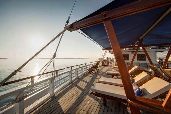 New Scientist Default Image