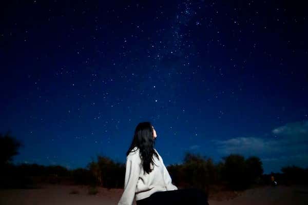 New Scientist Default Image