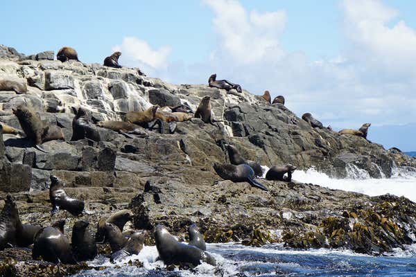 New Scientist Default Image