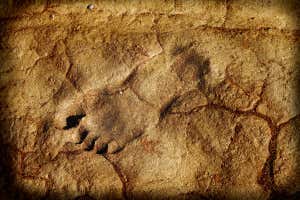 Where’s the best place to be buried to preserve your body as a fossil?