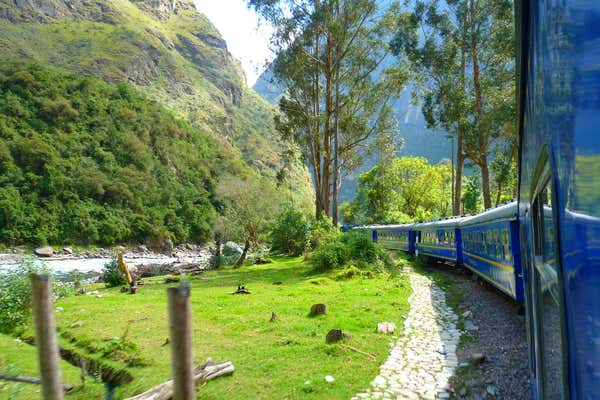 New Scientist Default Image