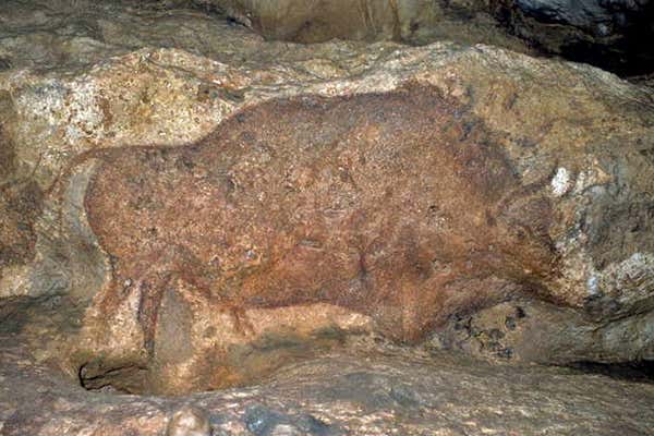 New Scientist Default Image