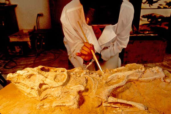 New Scientist Default Image