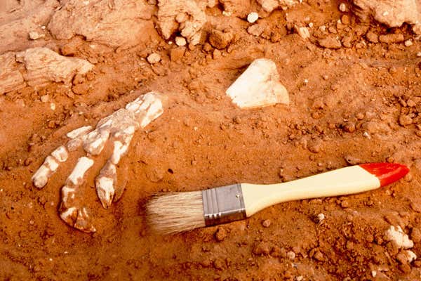 New Scientist Default Image