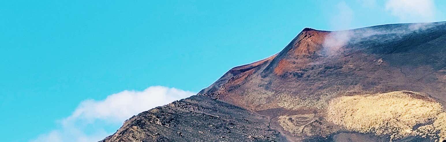 New Scientist Default Image