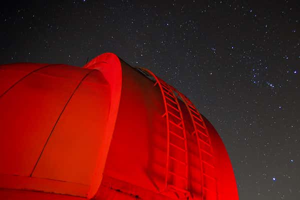 New Scientist Default Image