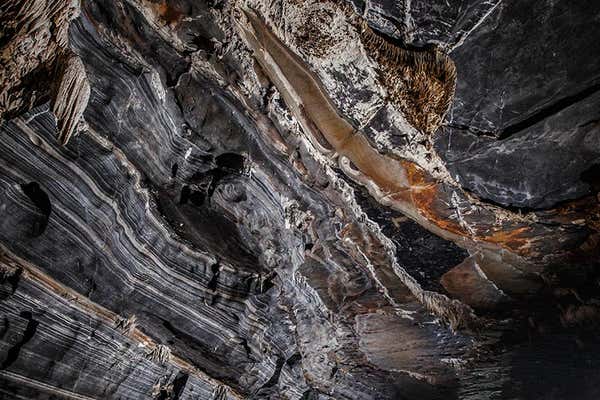 New Scientist Default Image