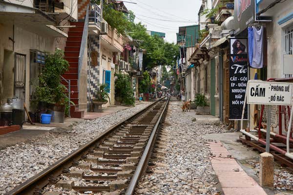 New Scientist Default Image