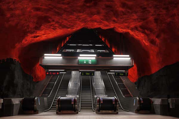 New Scientist Default Image