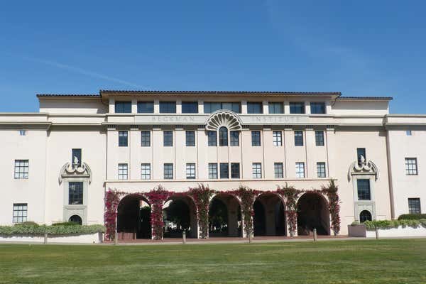 New Scientist Default Image