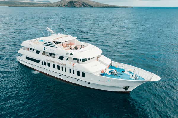 New Scientist Default Image