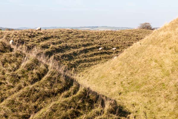 New Scientist Default Image