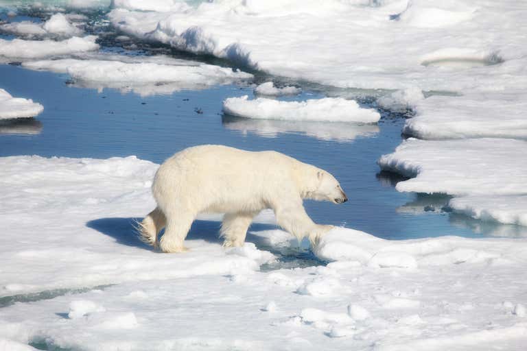 New Scientist Default Image