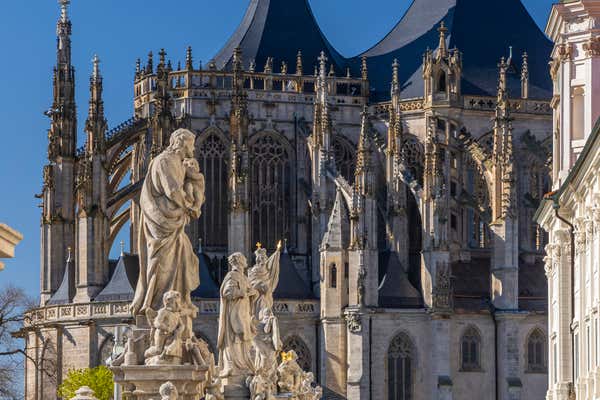 New Scientist Default Image