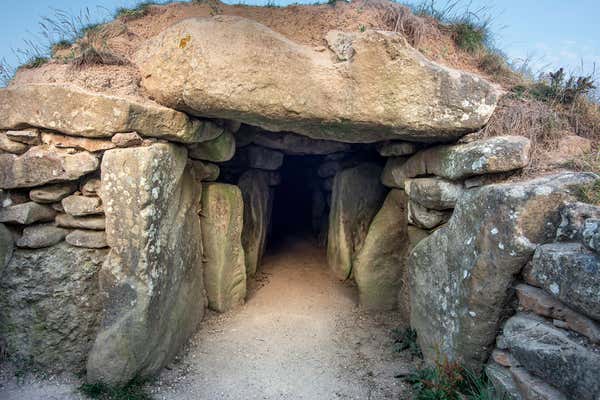 New Scientist Default Image