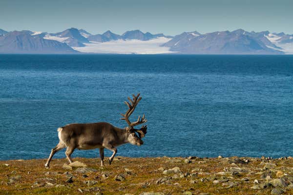 New Scientist Default Image