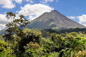 New Scientist Default Image