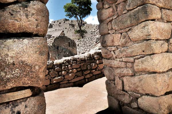 New Scientist Default Image