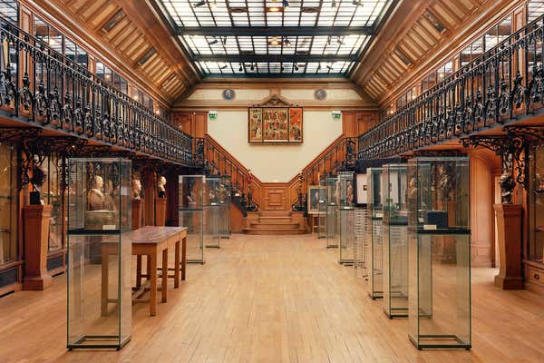 New Scientist Default Image