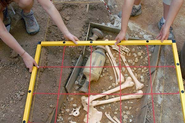 New Scientist Default Image