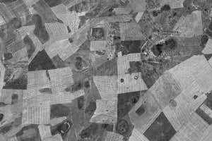 Cold war spy satellite images reveal long-term decline in biodiversity