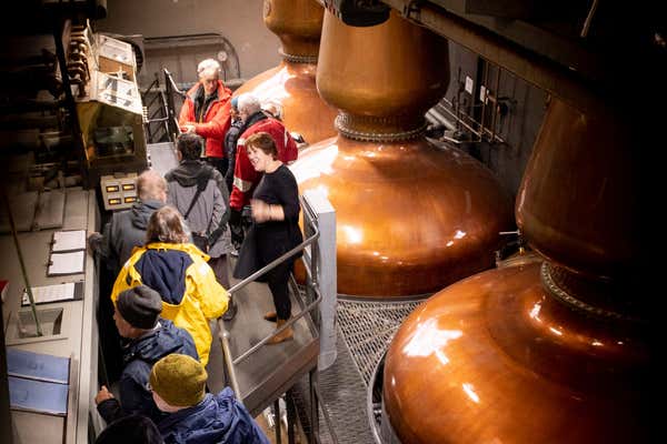 New Scientist Default Image