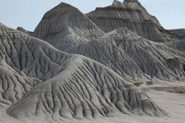 New Scientist Default Image