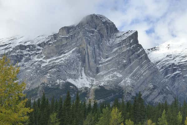 New Scientist Default Image