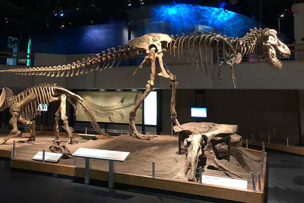 New Scientist Default Image