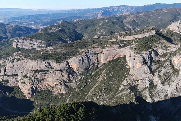 New Scientist Default Image