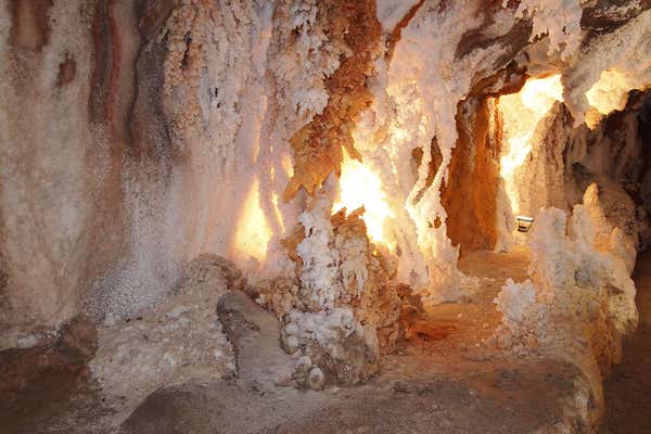 New Scientist Default Image