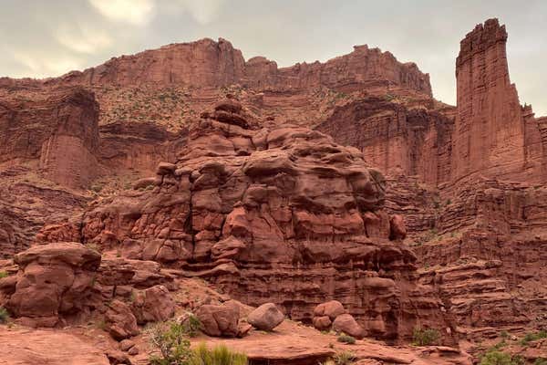 New Scientist Default Image