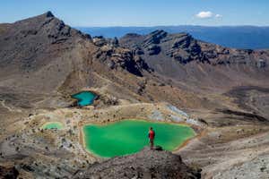 New Scientist Default Image