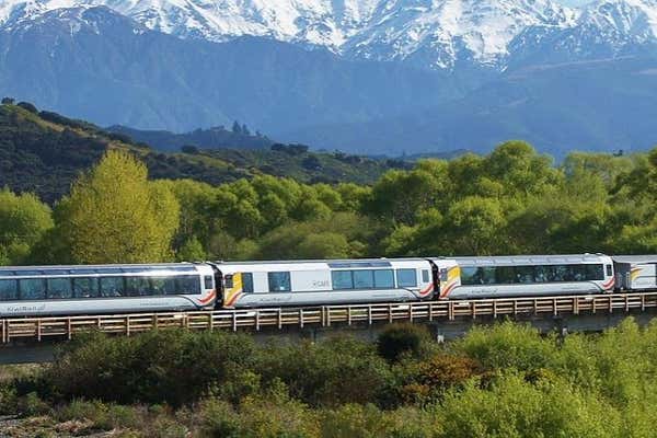 New Scientist Default Image