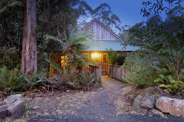 New Scientist Default Image