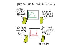 Twisteddoodles on bacteria that like to prank researchers