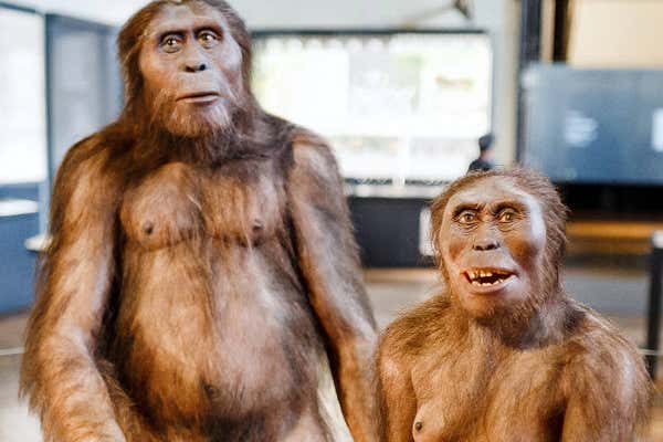 New Scientist Default Image