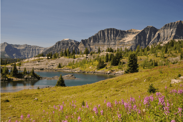 New Scientist Default Image