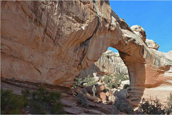 New Scientist Default Image