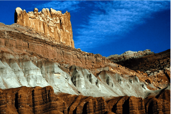 New Scientist Default Image